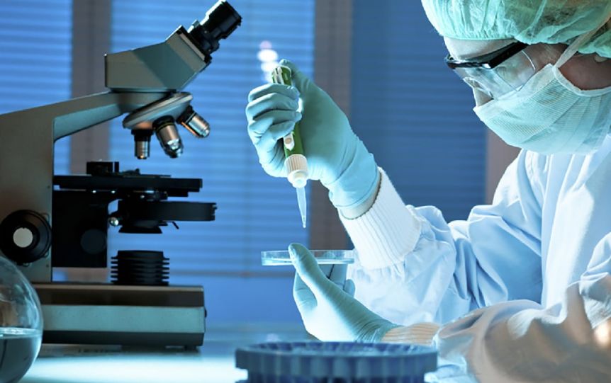 Nuevo avance de la ciencia: diseñaron la fotoinmunoterapia para combatir al cáncer