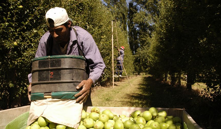 Desde Río Negro piden un dólar para los productores de fruta