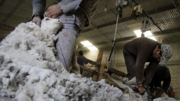 El campo patagónico pide un dólar diferenciado