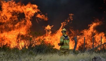 Parques Nacionales y Manejo del Fuego: cuánto recibirán el año que viene