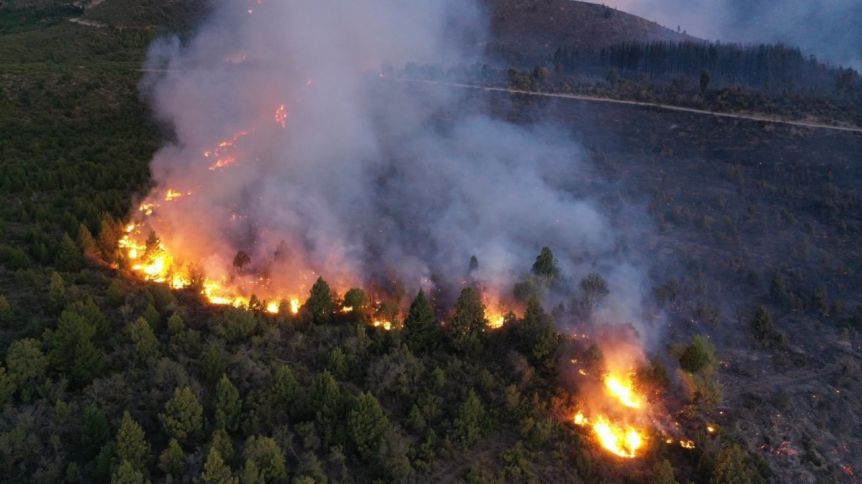 Patagonia: el impacto de los incendios