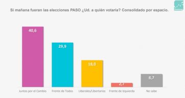 Encuesta: cómo se proyectan los principales candidatos a la  Casa Rosada